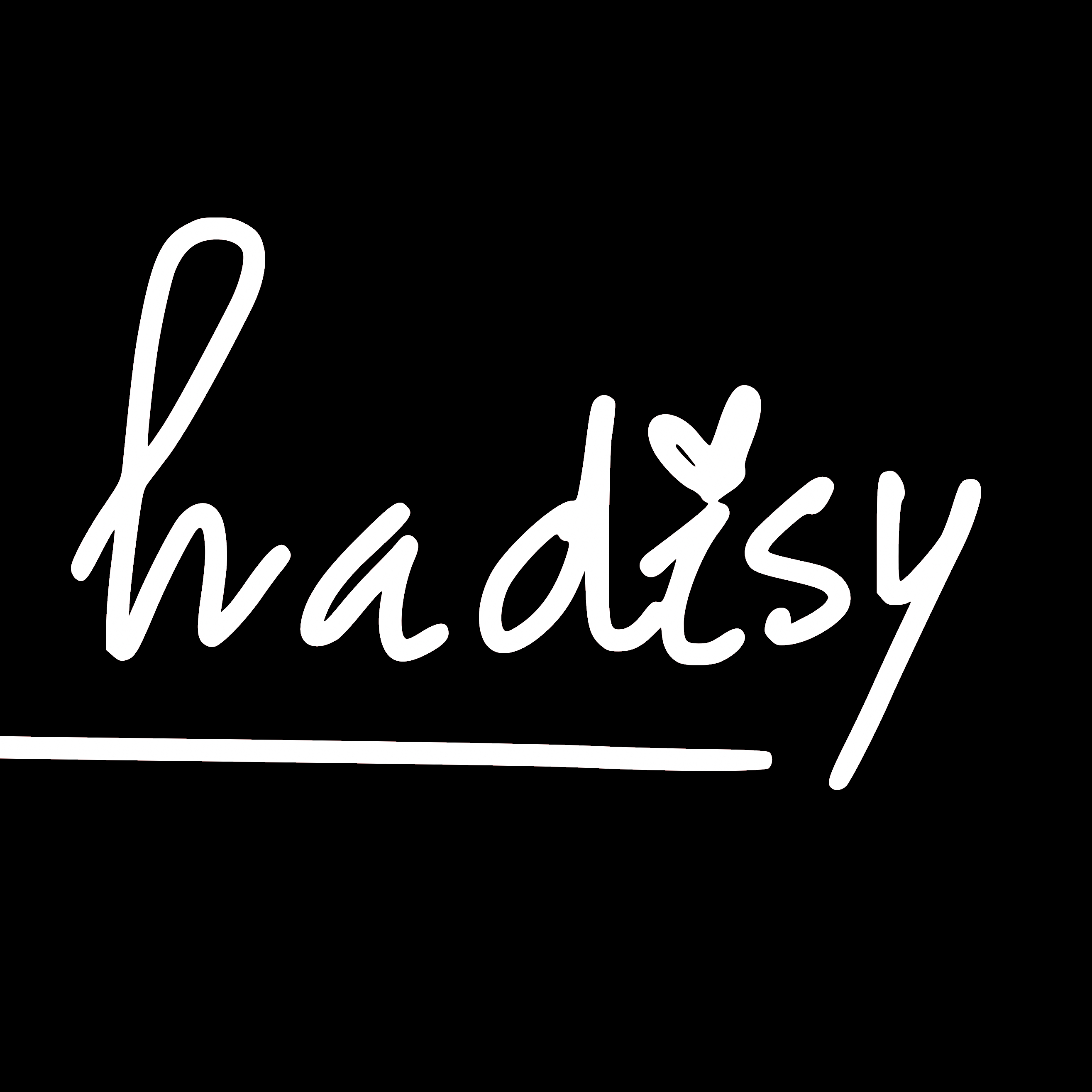 Hadisy logo